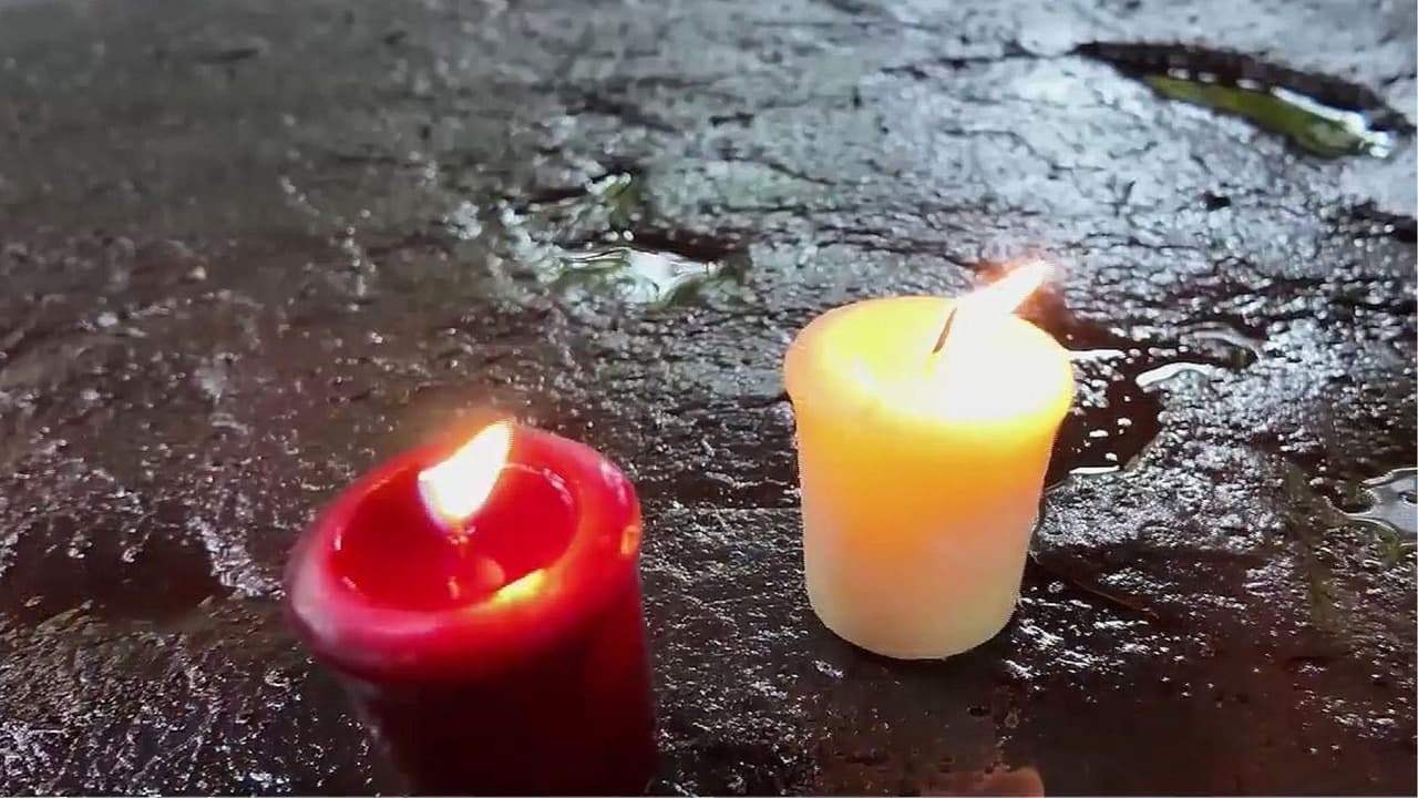 Asesinan a golpes a una desamparada de 63 años en Central Park: hay un sospechoso detenido