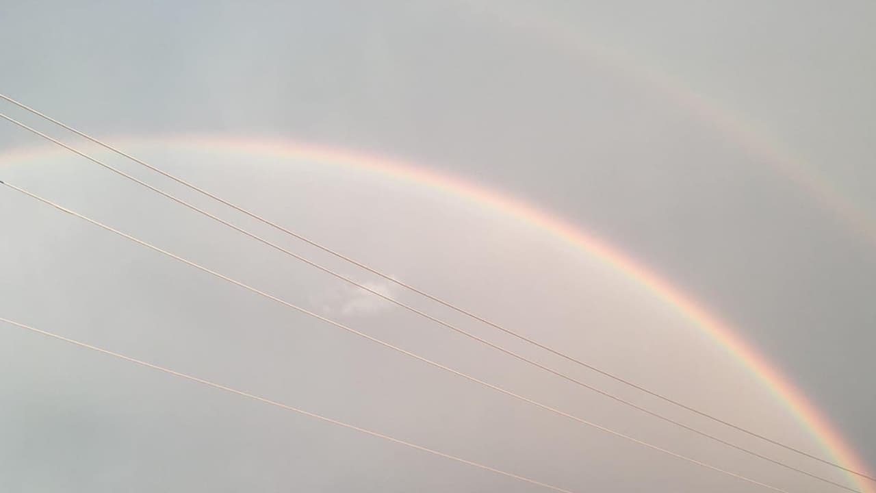 Margarita Toscano tomó esta foto en Rosenberg, TX.
