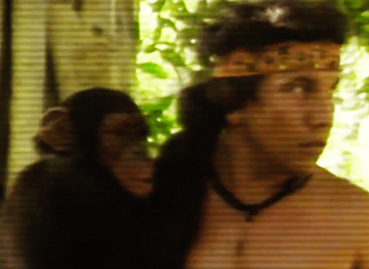 Al estilo de Adán y Eva, de Tarzán y Jane, así vimos a Lupe en ese video. Desempolvado por la producción de Pequeños Gigantes, nada nos preparó cuando descubrimos quién era la modelo del video...