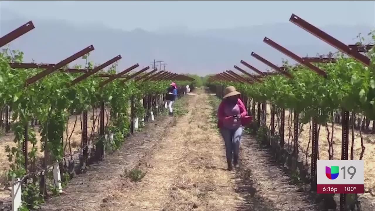 Organizaciones de apoyo a indocumentados por coronavirus están saturadas de solicitudes