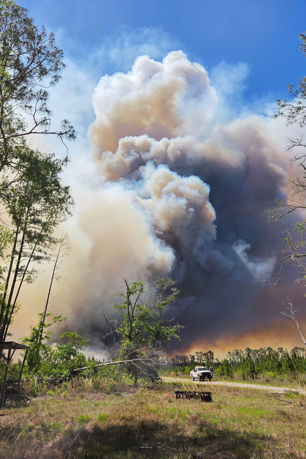Esta fotografía, proporcionada por el Departamento de Recursos Naturales de Georgia, muestra a bomberos respondiendo al incendio de Pineland Road, en el sureste de Georgia, el miércoles 22 de abril de 2026. (Departamento de Recursos Naturales de Georgia vía AP)