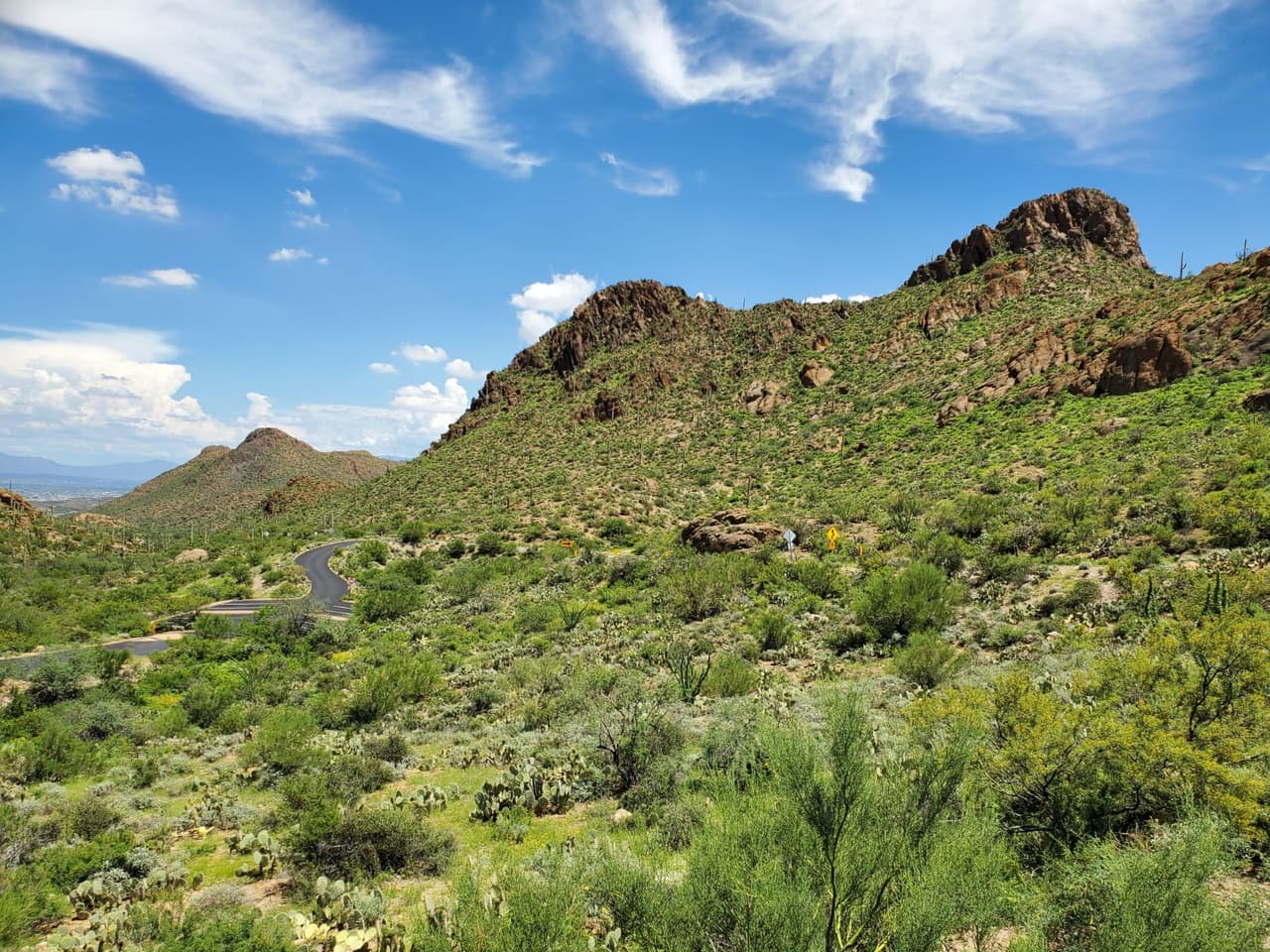 Las lluvias torrenciales que han dejado inundaciones, estragos, daños y hasta persona muertas, también dejaron una vegetación verde que por un año permanece seca.