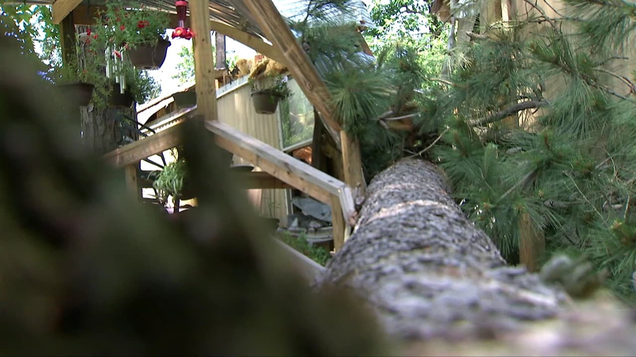 Una persona murió en Tomball, Texas esta semana luego de que un árbol cayera sobre su casa móvil tras el paso de un tornado categoria F-0. Autoridades instan a las personas que viven en casas móviles a buscar un lugar seguro donde quedarse durante las tormentas que se avecinan.