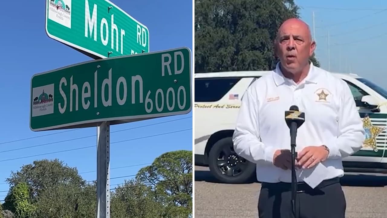 Niña muere mientras cruzaba con señal peatonal activa: conductor de 77 años bajo investigación