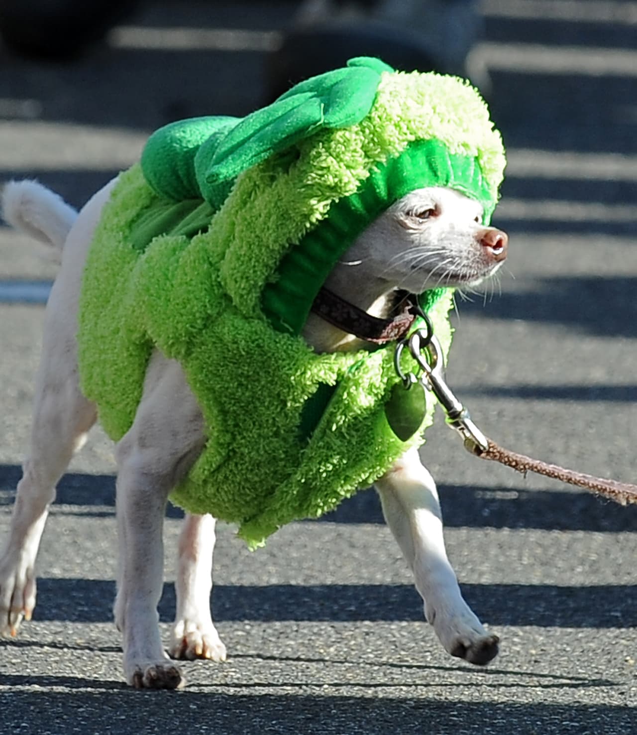 <b>Un brócoli</b>
<br>Esta es una versión muy acolchada de Hulk, el hombre verde de los cómics, o uno de los vegetales más 'temidos' por los niños.