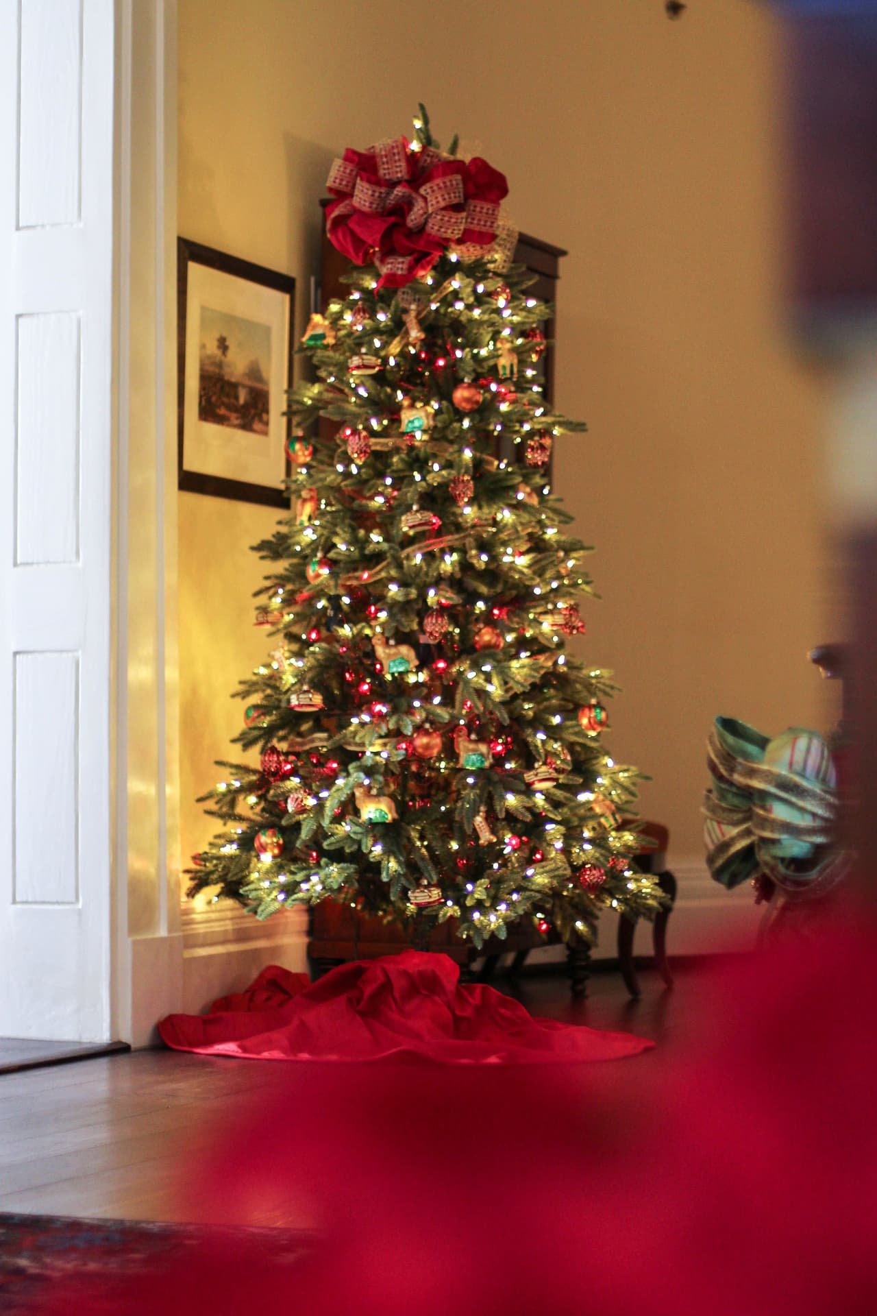 Así luce el árbol de entrada a la Mansión del Gobernador.