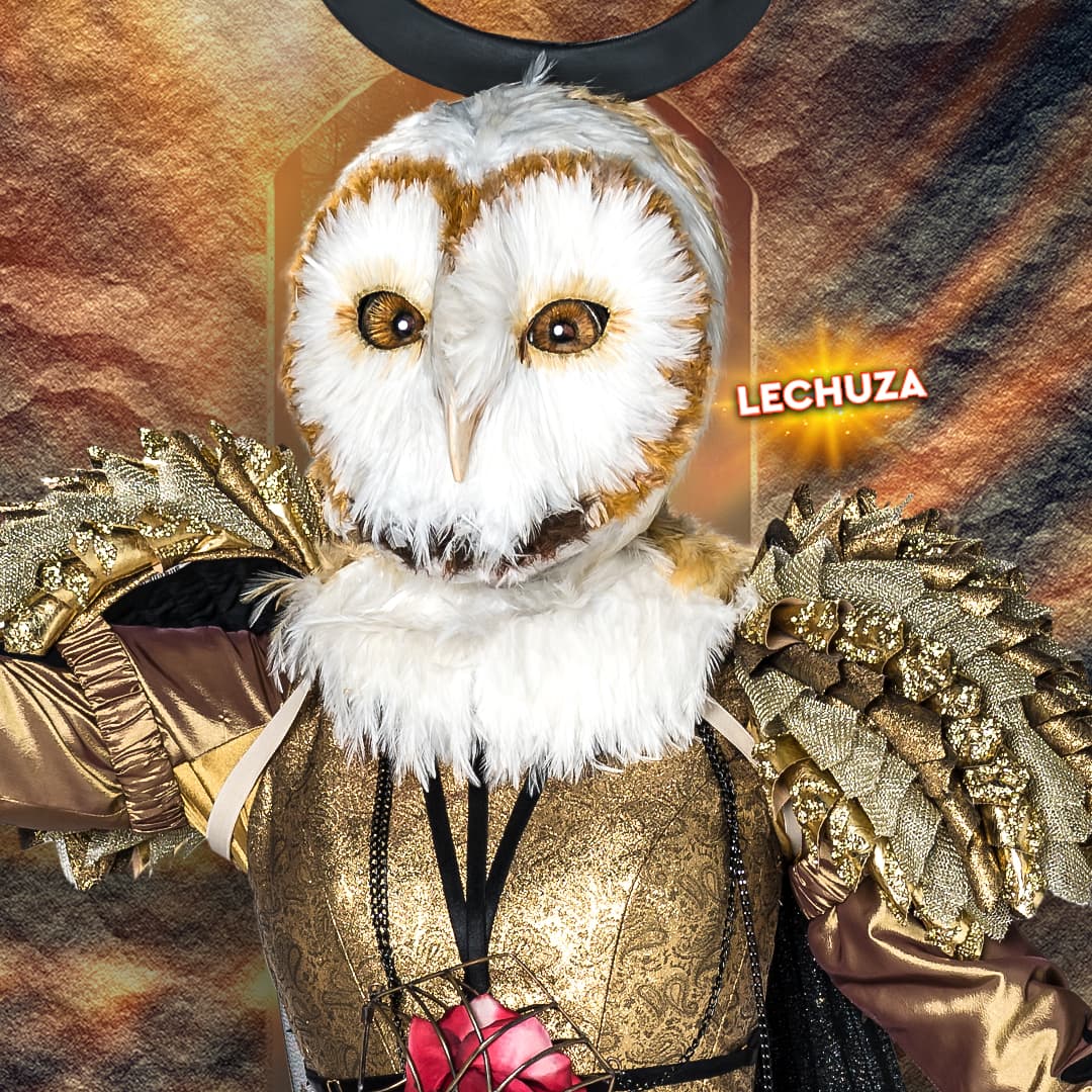 Lechuza es profundamente espiritual y siempre busca la paz interior.