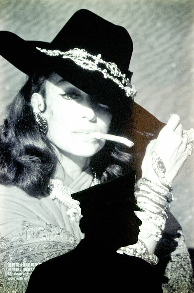 Hasta 
<a href="https://www.univision.com/estilo-de-vida/moda/eiza-gonzalez-hizo-un-elegante-y-discreto-homenaje-a-maria-felix-no-fue-el-vestido">las joyas de reptiles de María Félix</a> se volvieron tan famosas que, actualmente, están resguardadas en el archivo histórico de la casa francesa Cartier y, en 2019, se lanzó una línea inspirada en ella.