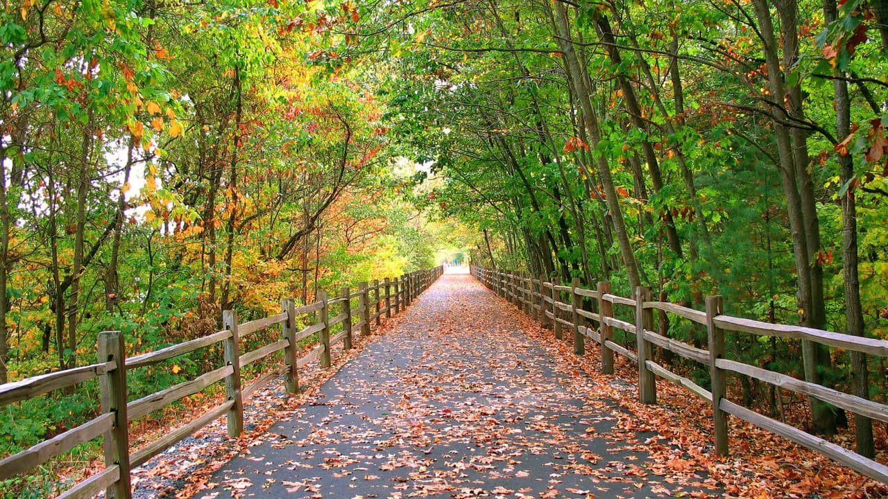 <h3 class="cms-h3-H3">16. Connecticut</h3>
<br>El estado de la constitución registró 
<b>278 muertes vehiculares </b>durante 2017, 26 muertes menos que en 2016. De ese total, 120 muertes fueron causadas por el consumo de alcohol.