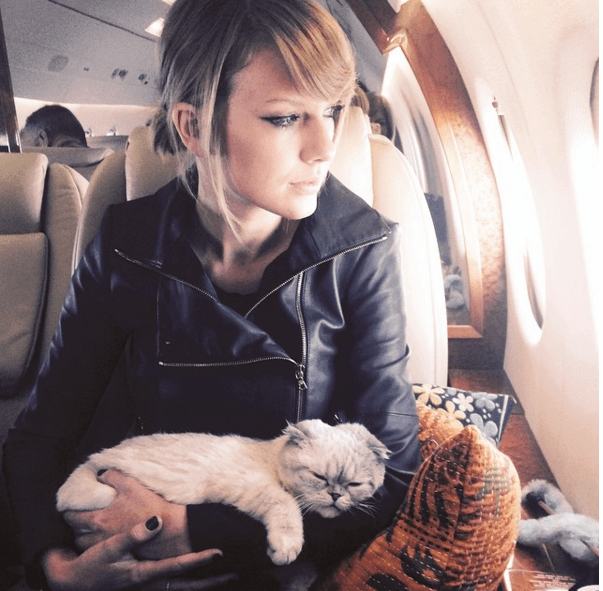 Entre los gastos de la pachanga la revista Closer publicó que Taylor alquiló jets privados para traer a sus amigos desde Los Ángeles y Nueva York.