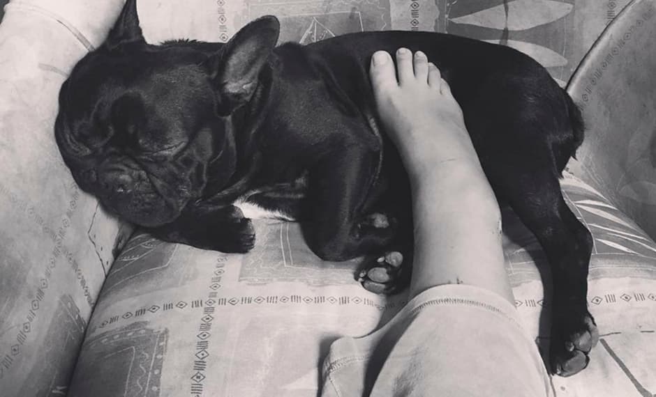 Durante los meses de reposo obligado.