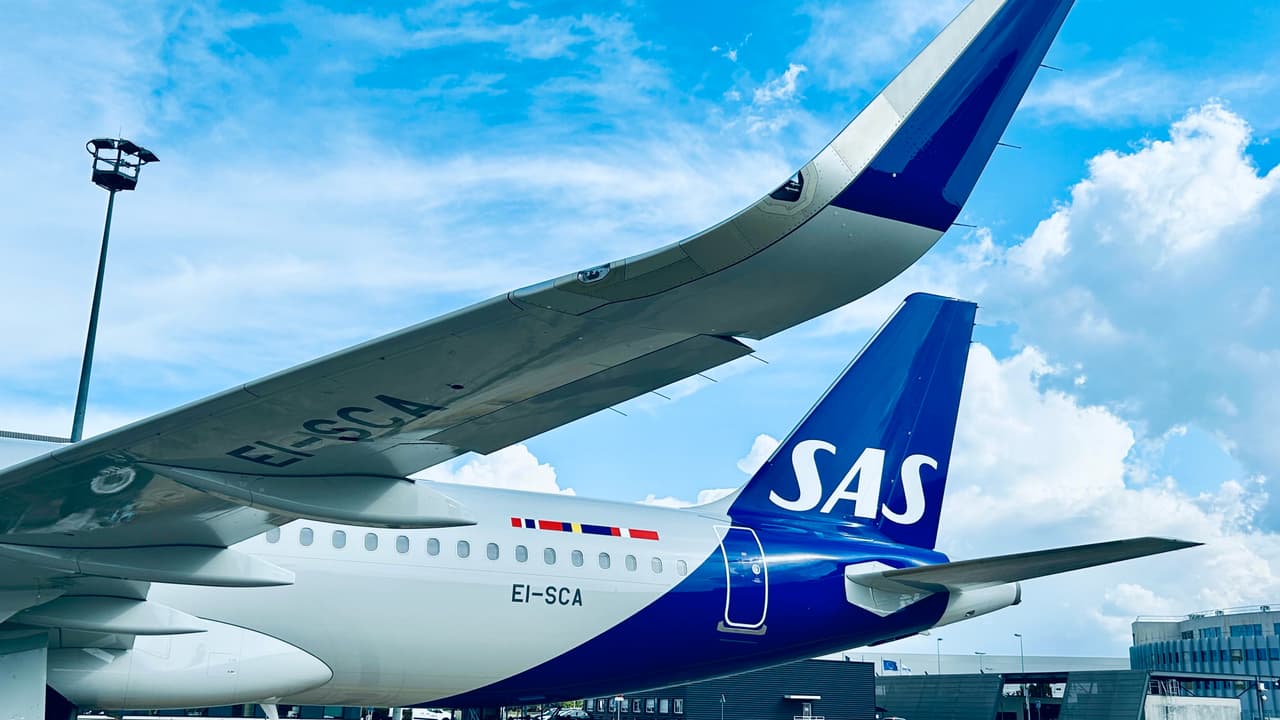 Un ratón salta de la bandeja de comida de una pasajera en pleno vuelo y obliga a un aterrizaje de emergencia