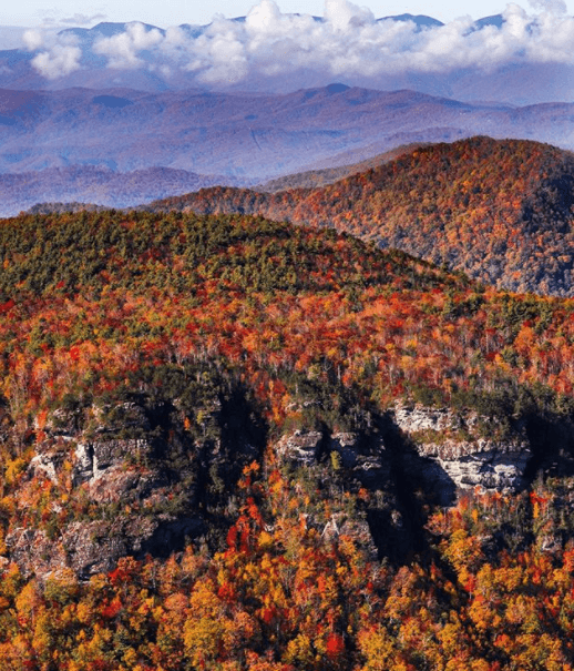 Más fotografías de Lisa Gregory, originaria de Charlotte, pueden ser encontradas en su cuenta en 
<a href="https://www.instagram.com/wildwoodblessing/" target="_blank">Instagram.</a> Lugar: Linville Gorge Wilderness, NC.