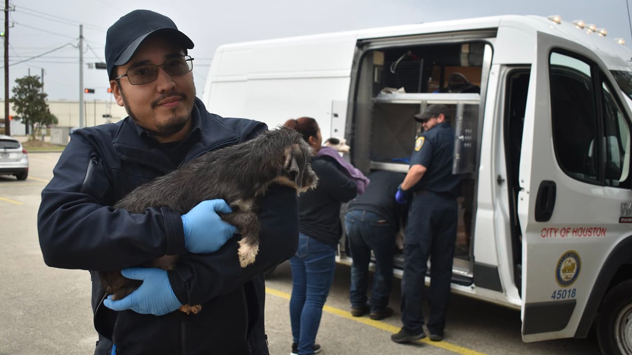 Autoridades pidieron la ayuda para rescatar a los animales que estaban en condiciones deplorables.