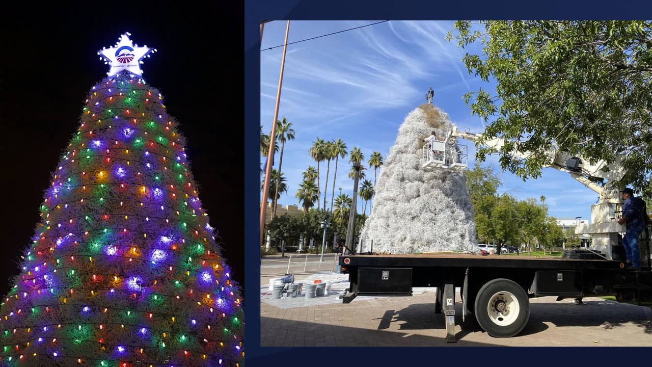 De acuerdo con un comunicado de prensa de 
<a href="https://www.chandleraz.gov/news-center/chandler-holiday-tradition-tumbleweed-tree-lighting-parade-lights-returns-saturday-dec" target="_blank">la ciudad de Chandler</a>, el árbol navideño está hecho con aproximadamente 1,000 plantas rodadoras del desierto y están cubiertas con 80 libras de brillo reluciente y 45 galones de pintura blanca.