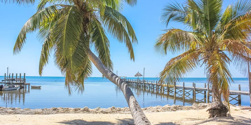 North Key Largo: está en el condado Monroe. Además de hermosas playas,cuenta con algunos de los paisajes botánicos considerados como uno de los más fascinantes del estado. Algunas actividades que puede hacer son el buceo y la pesca deportiva.
<br>