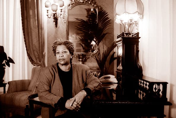 Sus obras siempre se caracterizaron por
<b>resaltar la vida y los problemas como el racismo, la segregación y la esclavitud que padecen las personas afroamericanas</b>. Su primer libro fue 'The Bluest Eye', publicado en 1970, y se centró en una chica negra que quiere ojos azules como las chicas blancas.
<br>