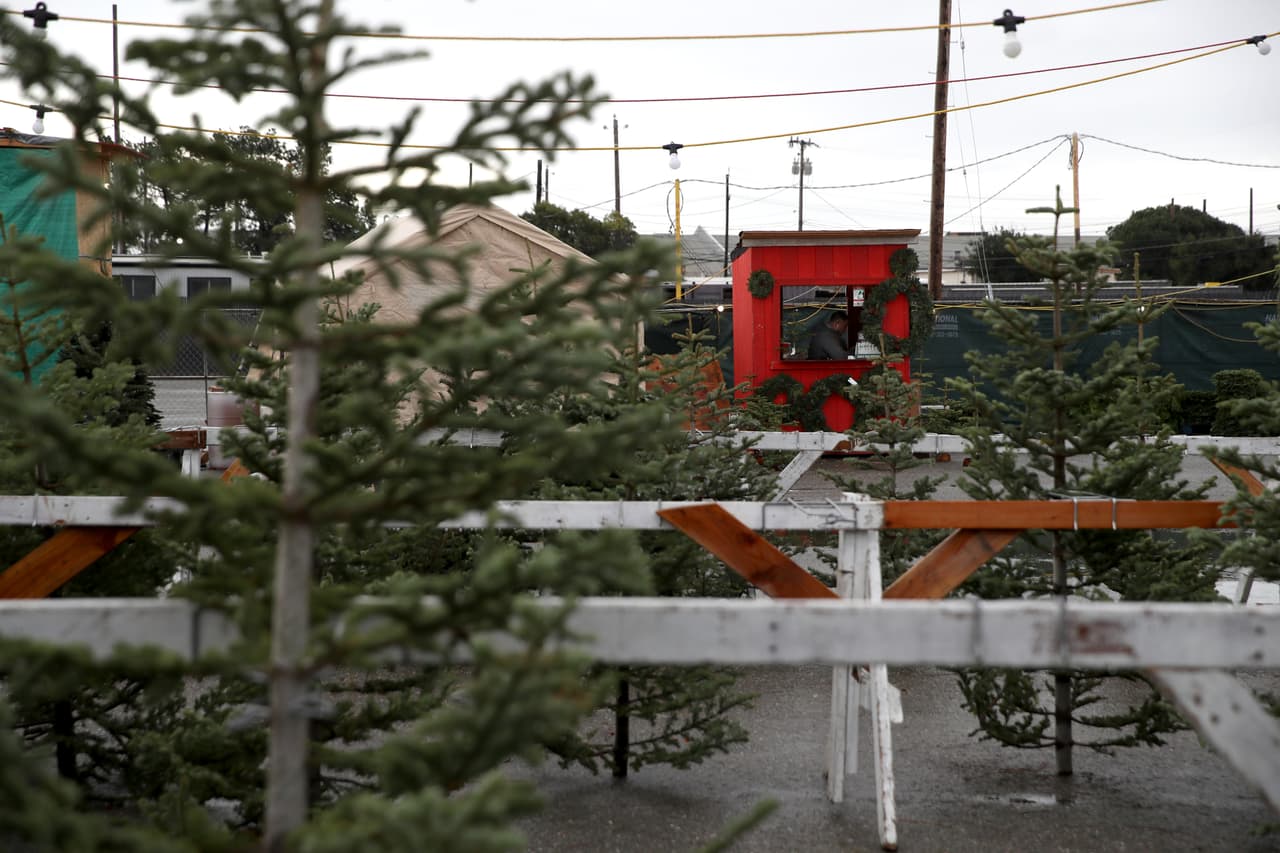 El precio promedio de los árboles navideños también llegó a un récord histórico: $78. Los detalles de la industria son realmente fascinantes ya que no hay un solo tipo de árbol: hay bálsamos, pinos, abetos y similares.
