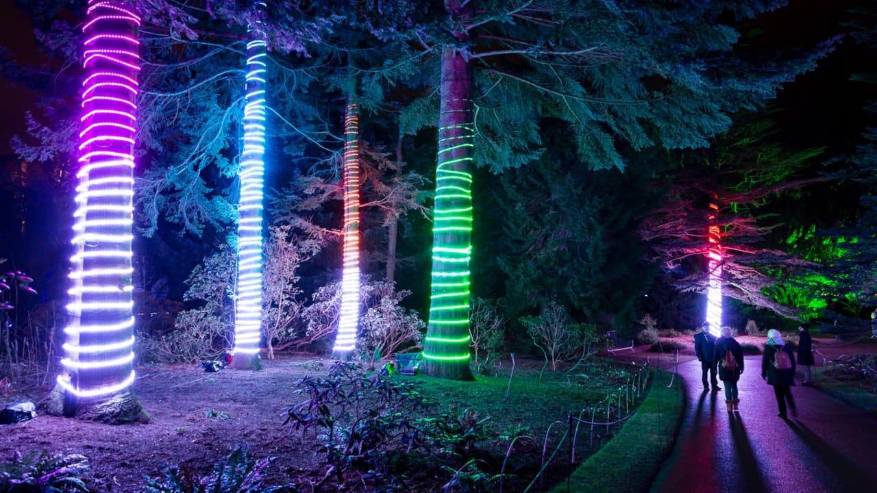 Asimismo, habrá áreas de comedor a lo largo del sendero, donde te ofrecen 
<b>ron con mantequilla caliente, s'mores en frasco, donas caseras, bebidas calientes</b> y otros comestibles de la temporada.