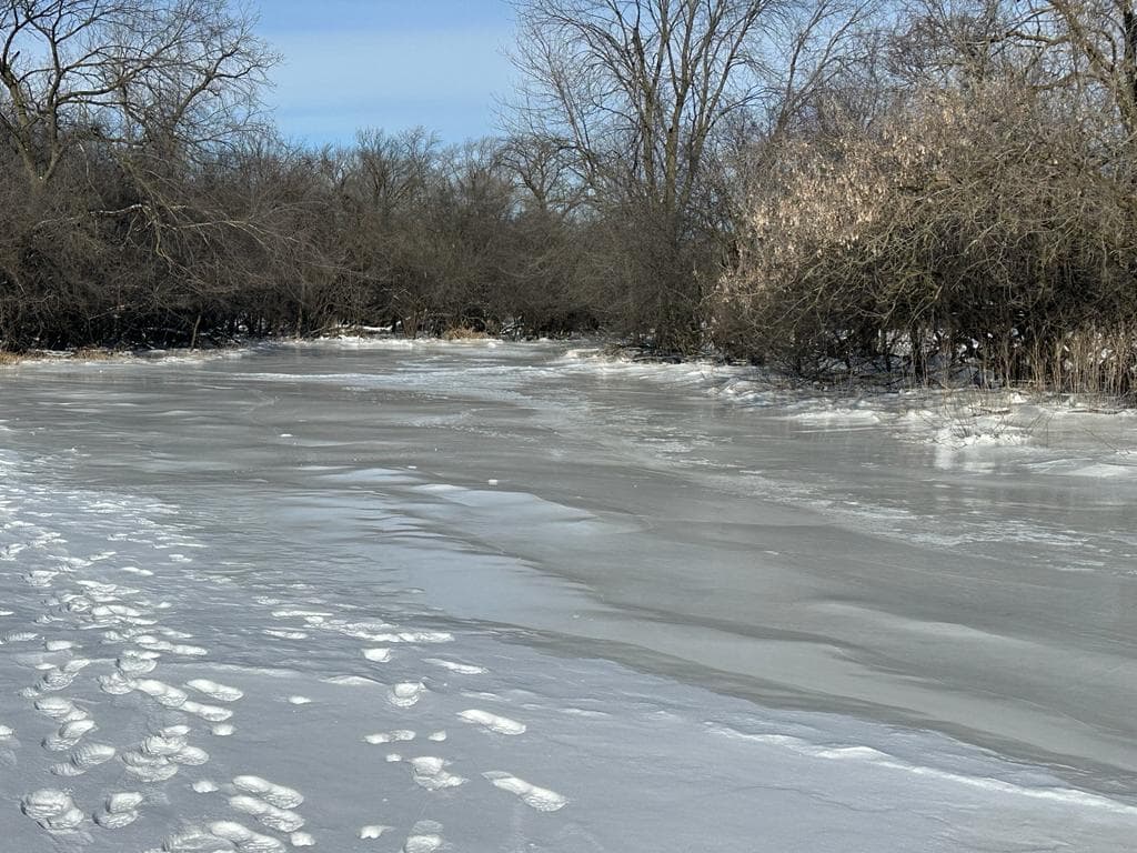El frío intenso ha congelado el río Des Plaines, que atraviesa parte del suburbio de Lyons, IL.
