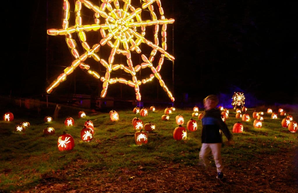 Y, en plena era del 
<a href="https://www.univision.com/temas/covid-19-enfermedad">covid-19</a>, no se puede olvidar el riesgo de contagiarse con el virus o sus variantes. Los tapabocas o mascarillas, deberían ser parte de todo disfraz.
<br>