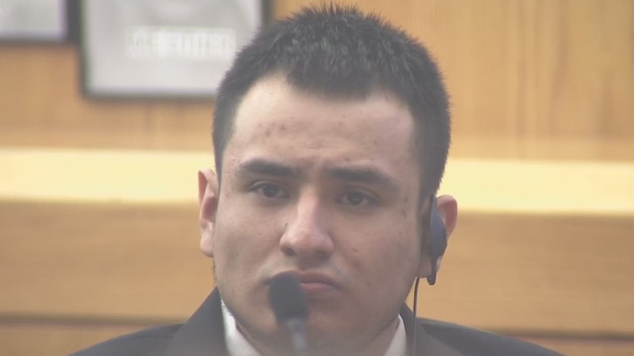 Condenan a hispano a cuatro años de cárcel por matar a un perrito en Texas