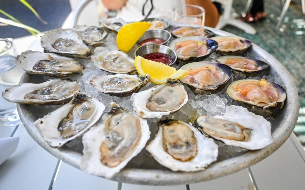 <b>Oyster House</b>
<br>Dirección: 1516 Sansom St Philadelphia, PA 19102
<br>Teléfono: (215) 567-7683
<br>Sitio web: 
<a href="https://oysterhousephilly.com/">https://oysterhousephilly.com/</a> 
<br>
<b><a href="https://www.yelp.com/map/oyster-house-philadelphia">Cómo llegar</a></b>
<br>
<br>Se promocionan así: “Ubicado en el centro de la ciudad de Filadelfia durante más de 40 años, Oyster House es el destino en Filadelfia para disfrutar de los mariscos. Los mariscos son nuestro negocio familiar”.