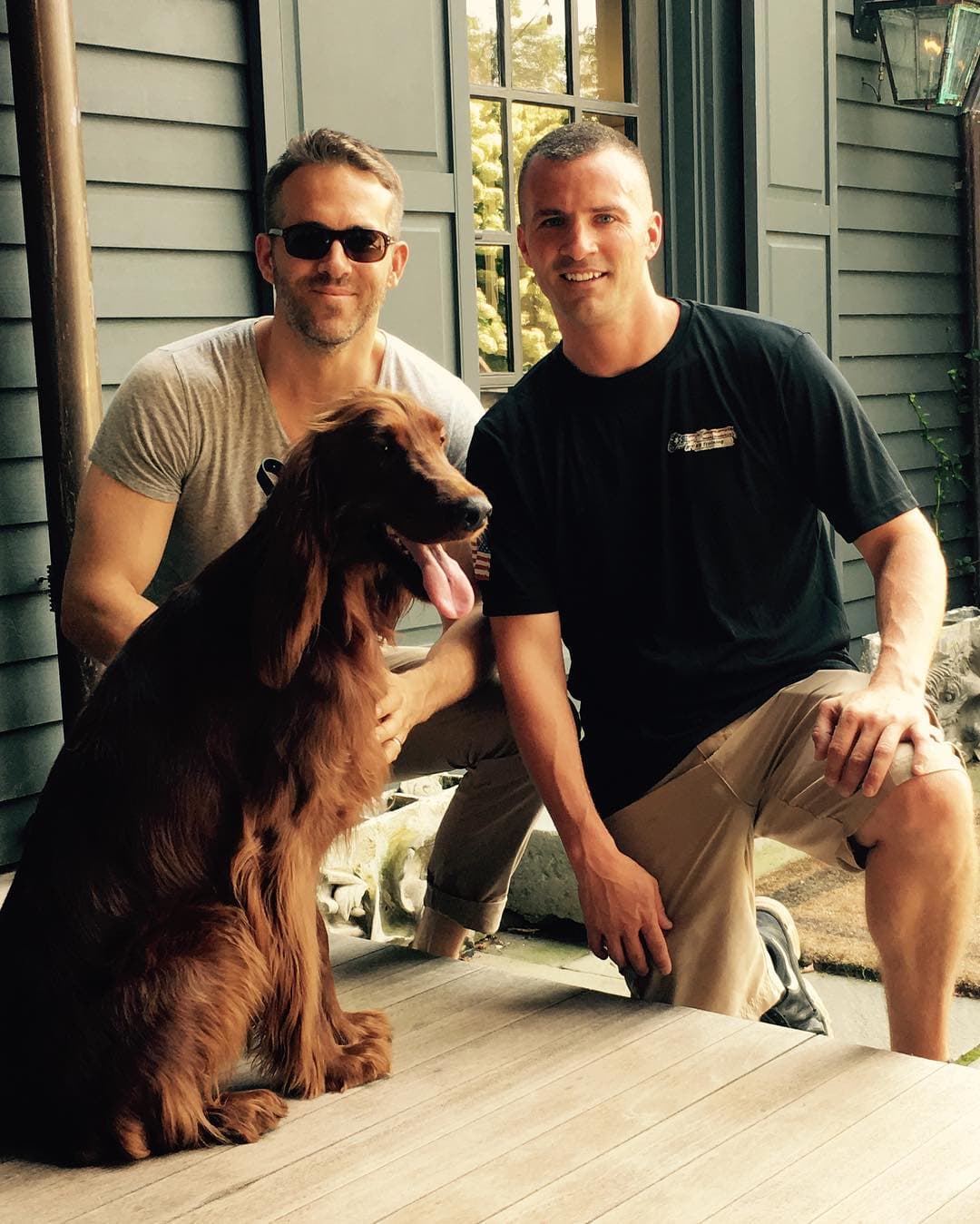 Billie es el perro de Ryan Reynolds, que rescató de un albergue para mascotas.