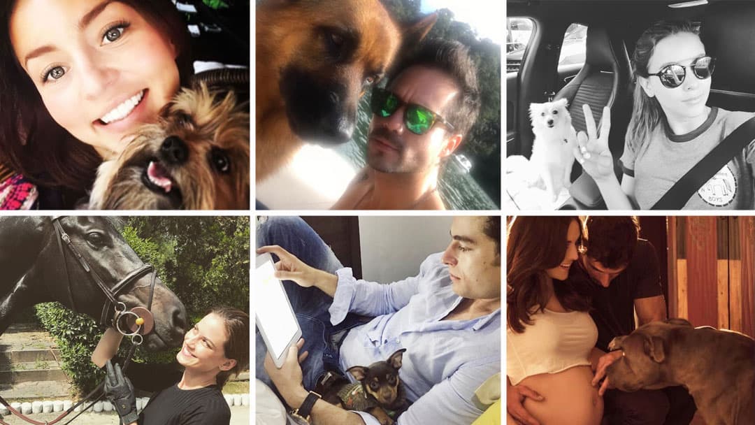 Los famosos de novela y sus amores de 4 patas