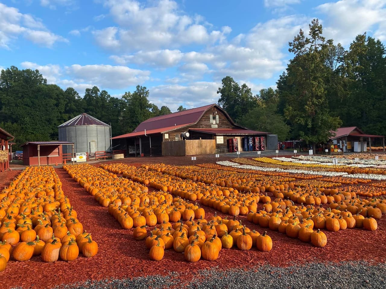 <b>Burt's Pumpkin Farm (Dawsonville)</b>
<br>
<b>Sitio web</b>: 
<a href="https://www.burtspumpkinfarmgeorgia.com/">https://www.burtspumpkinfarmgeorgia.com/</a> 
<br>
<b><a href="https://maps.app.goo.gl/jDE7S4Tkd1nmJ1wz5">Cómo llegar</a> </b>
<br>
<br>Visita esta granja de 40 acres que cuenta con miles de calabazas, palomitas de maíz, maíz indio y calabazas ornamentales de cosecha propia. Es una experiencia única para personas de todas las edades cada otoño. Las atracciones también incluyen paseos en carruajes en septiembre y octubre.
