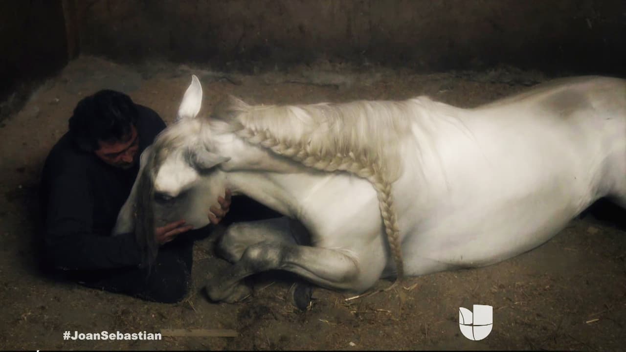 Joan vería a "Padrino" en el más allá.