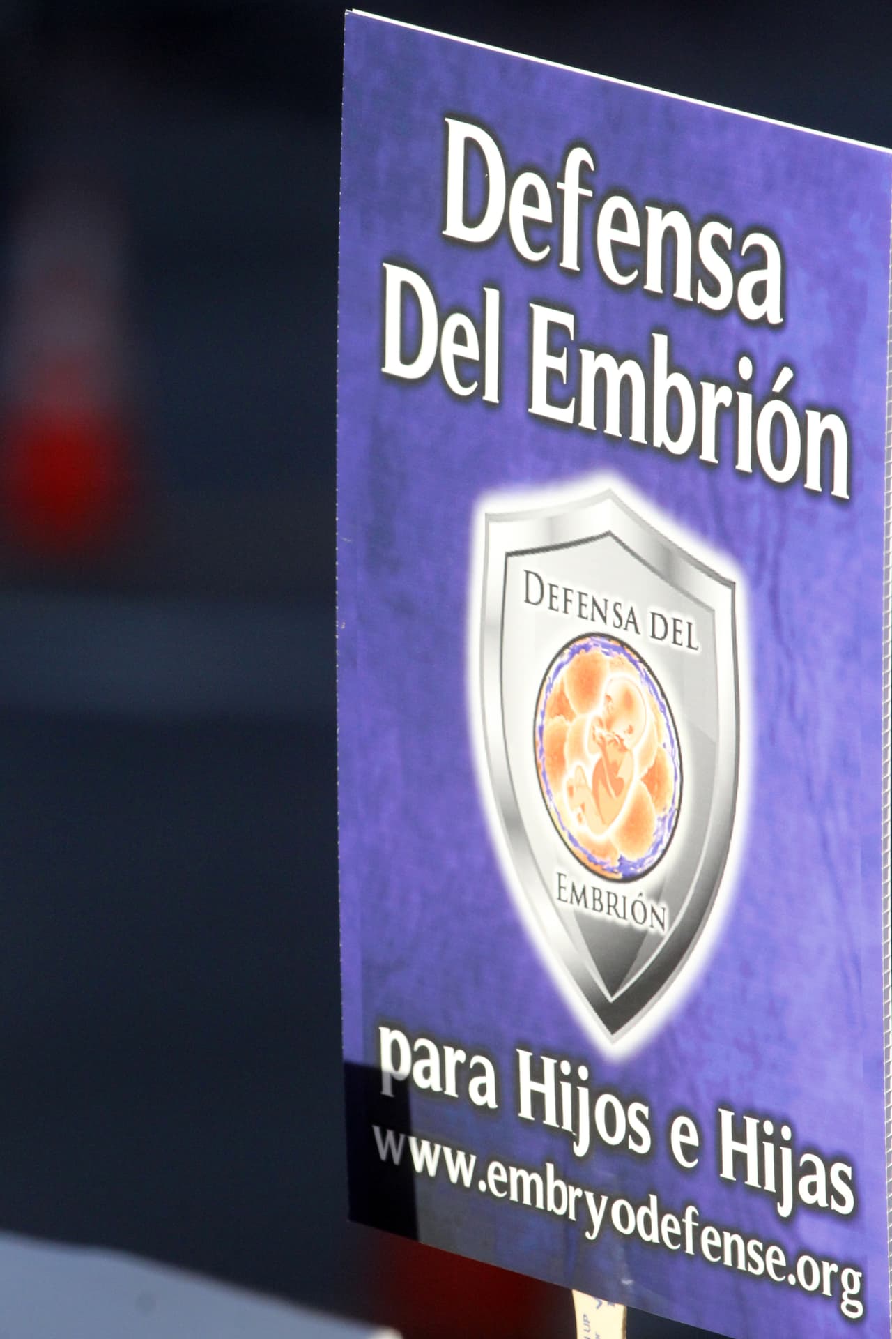 Según la revista “In Touch”, fue en noviembre de 2013 cuando la ex pareja asistió a un centro de fertilidad para crear embriones y congelarlos.