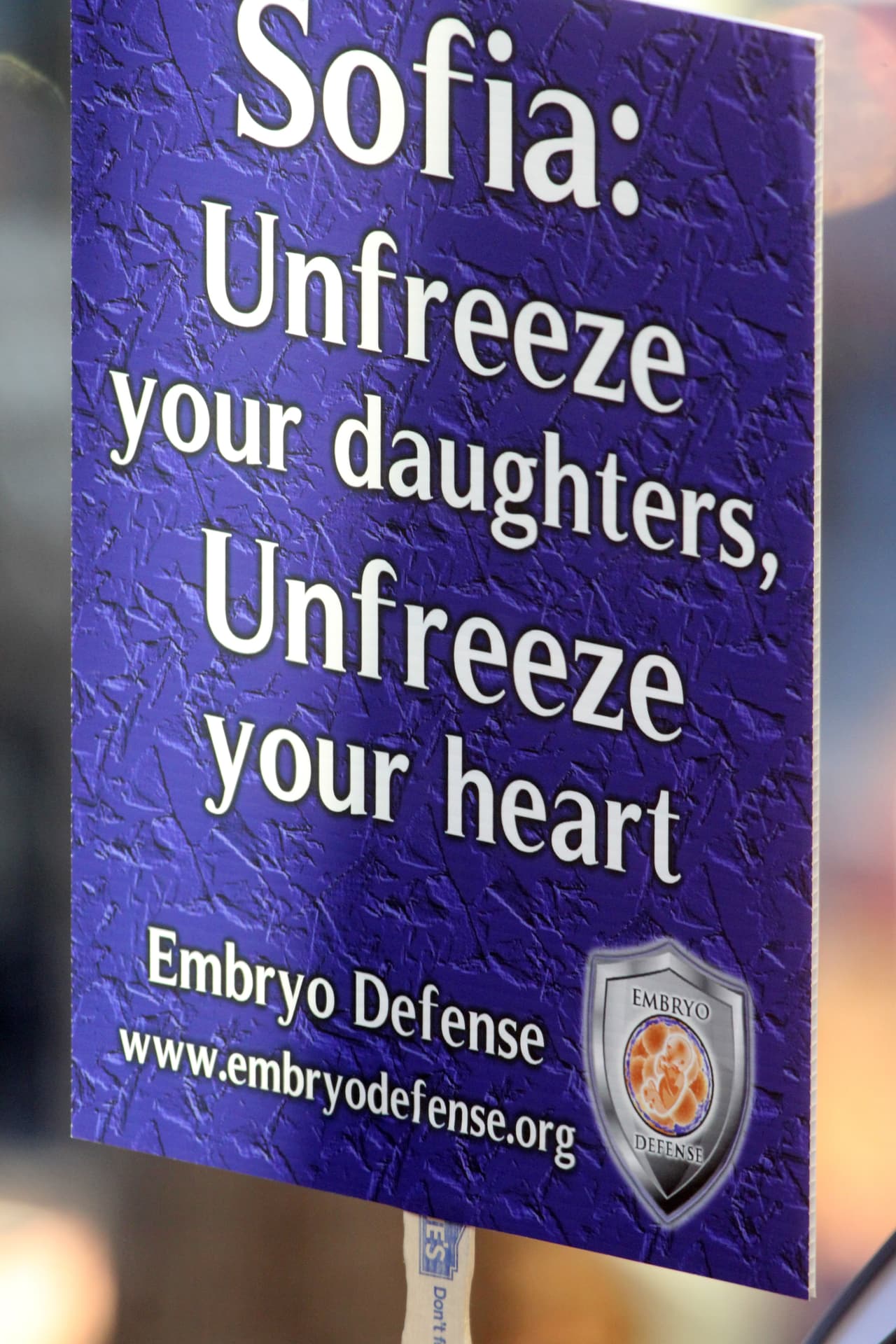 “Sofía, descongela a tus hijas; descongela tu corazón” se leía en algunos de ellos.