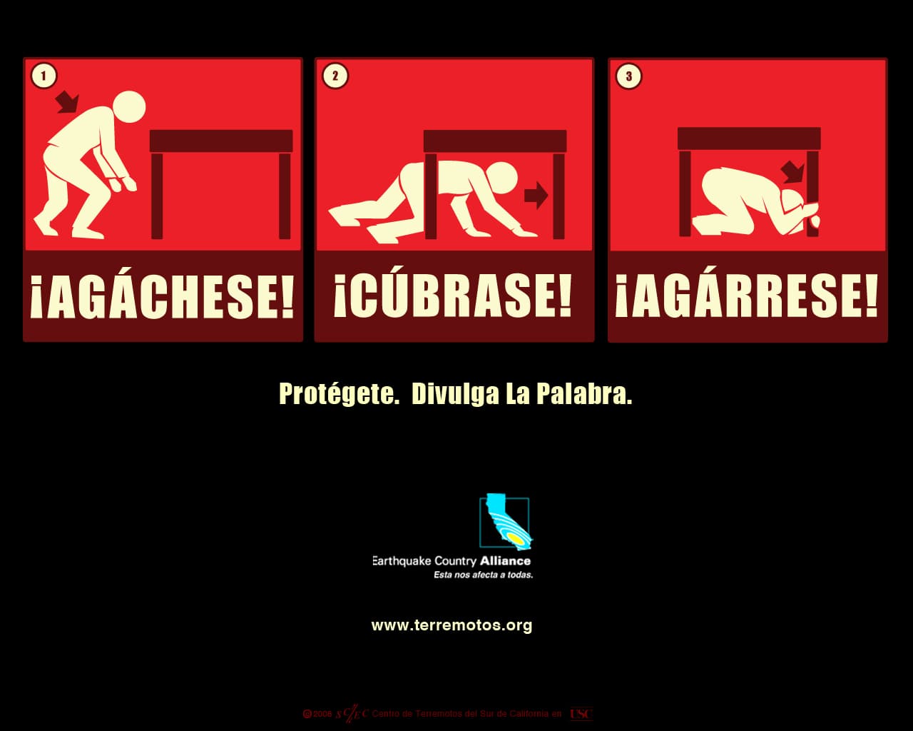 Recomendaciones: ¿qué hacer antes, durante y después de un terremoto?