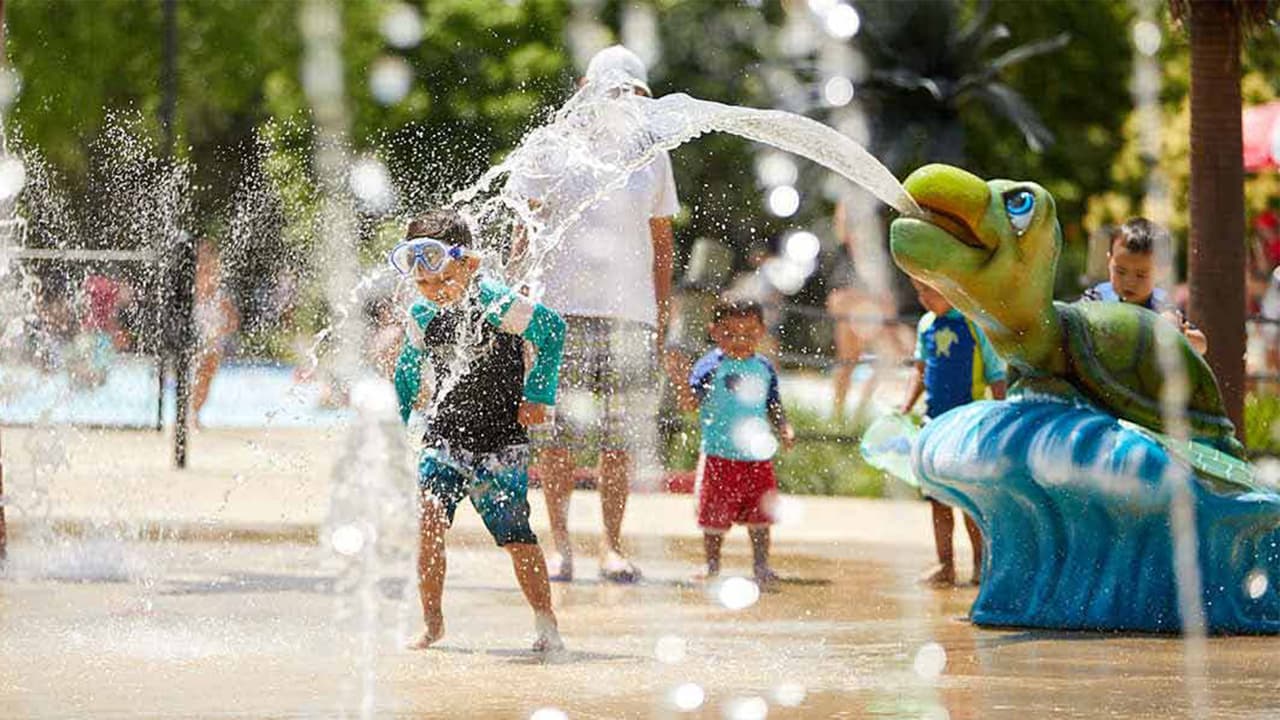 <h3 class="cms-H3-H3"><b>Pelican Harbor</b></h3>
<br>Este parque acuático ofrece opciones en exterior e interior, en Bolingbrook. La parte al aire libre inicia operaciones este sábado, con atracciones para toda la familia como río lento o canchas de voleyball de playa en el área exterior y albercas calefactadas y hasta bañeras en el área interior. Más información en 
<a href="https://bolingbrookparks.org/facilities/pelican-harbor/" target="_blank">la página del parque</a>. 
<br>
<br>
<b>¿Dónde?</b>
<br>Pelican Harbor 200 Lindsey Lane (Bolingbrook, IL 60440)
<br>
<br>
<b>¿Costo?</b>
<br>Las entradas para las actividades de interior y al aire libre tienen un costo de $17, con precio especial para residentes.