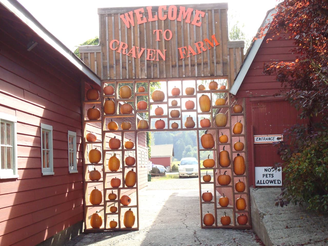 <a href=" http://www.cravenfarm.com/fall-festival"><b>Craven Farm</b></a>
<br>Gracias a la experiencia y hospitalidad de Mark y Judy Craven esta granja se ha convertido en un destino para celebraciones familiares y hasta bodas. En su huerto de calabazas imparten talleres para enseñar a los niños la importancia de la agricultura y el consumo de productos locales.