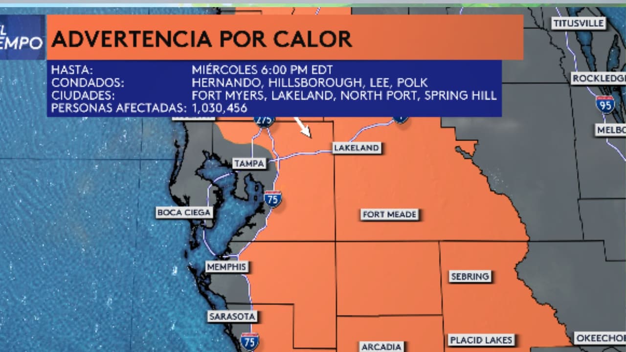 Advertencia de calor extremo en la Bahía de Tampa: ¿Qué hacer para protegerte?