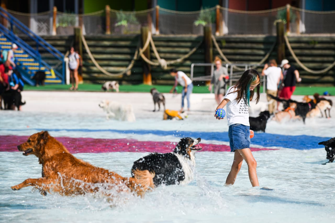 Portia Richards, de 11 años, juega con su perro en medio del agua...