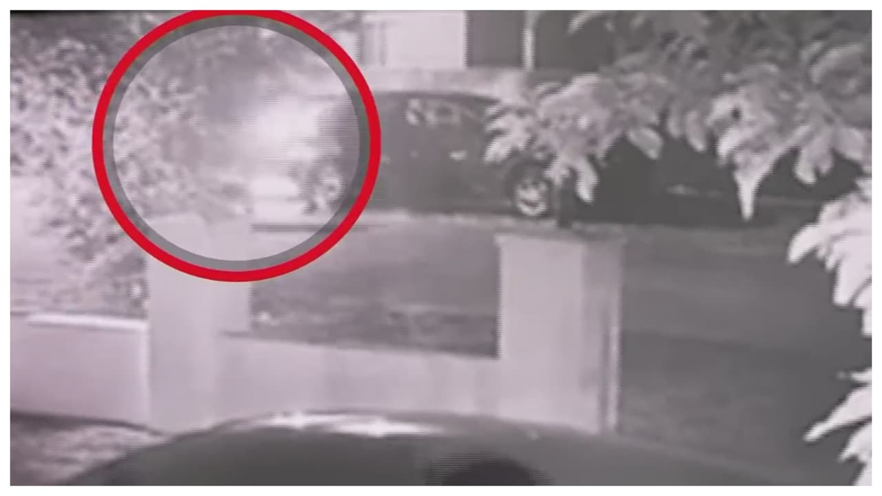  Apuñalamiento de tres hombres en casa de Westchester quedó grabado en video
