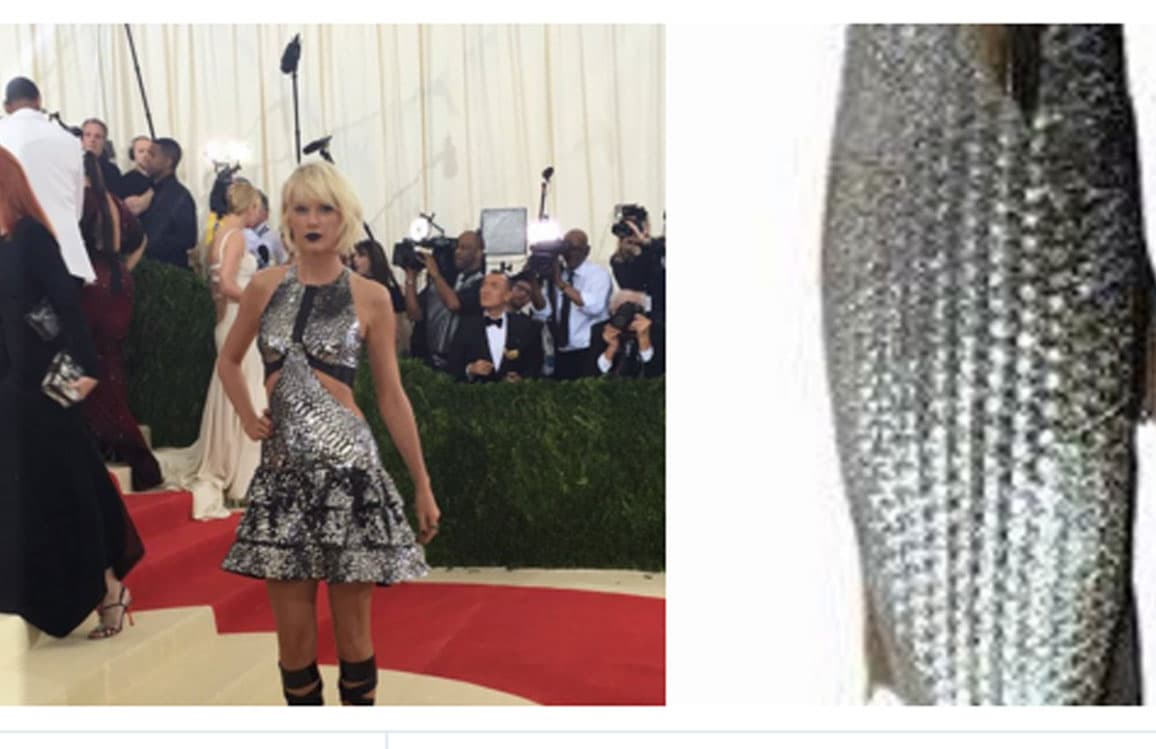 Los memes más graciosos de la Gala Met 2016.