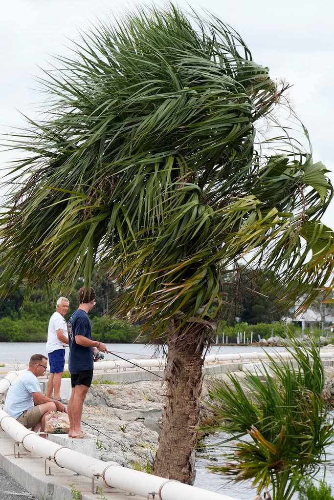 Vientos asociados con la tormenta tropical comenzaban a dejarse sentir sobre Florida, a medida que el fenómeno se acercaba a territorio del estado, declarado zona de desastre por el presidente de los Estados Unidos, Joe Biden. Esto permitirá que los recursos para una posible recuperación sean otorgados con mayor premura.