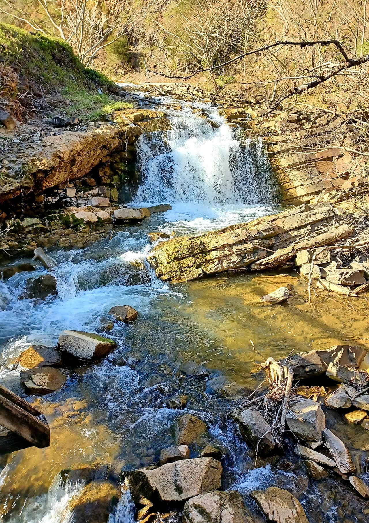 Este es un sendero popular para la observación de aves, el senderismo y para correr, pero aún puede disfrutar de un poco de soledad durante los momentos más tranquilos del día. Los mejores momentos para visitar este sendero son de marzo a octubre.