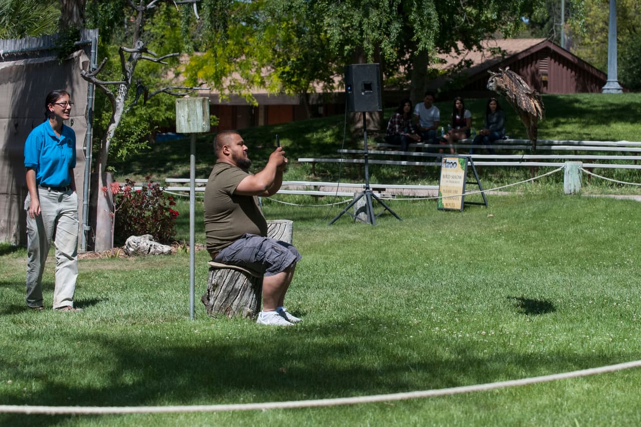El show de aves fue uno de los favoritos durante el Festival de los Niños 2017