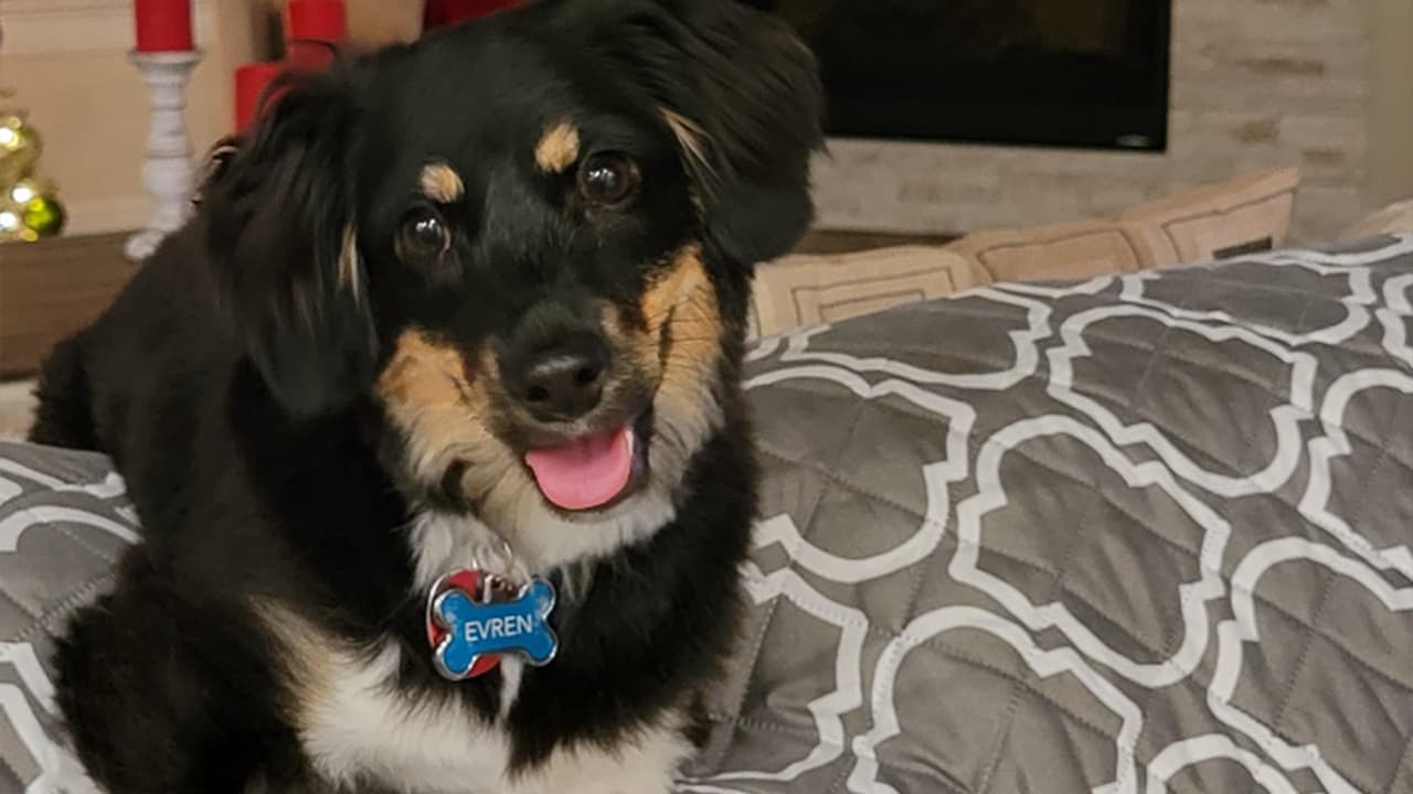 <b>Rocío</b>: Evren cansado de correr.