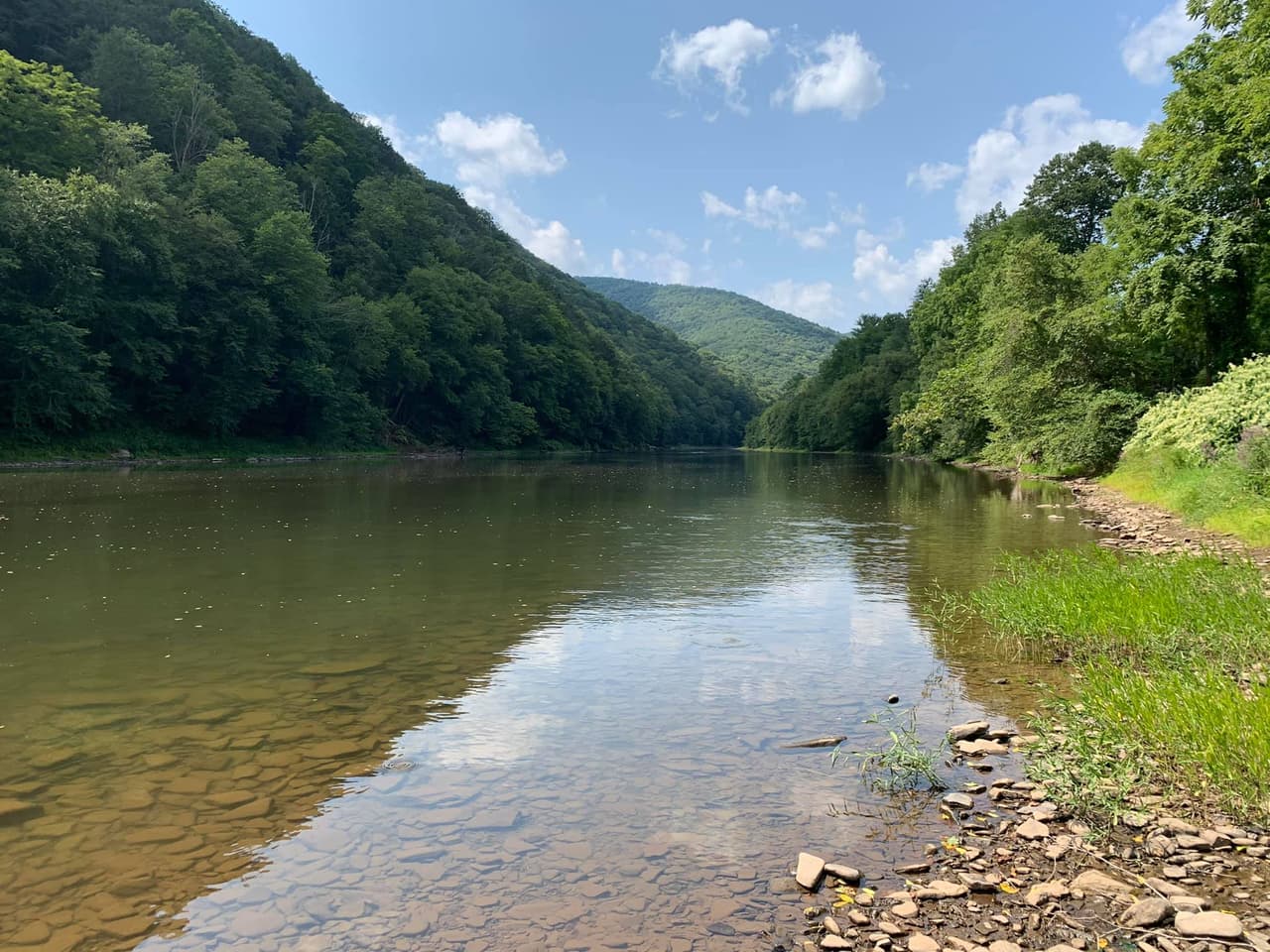 <b><a href="https://www.dcnr.pa.gov/StateParks/FindAPark/LittlePineStatePark/Pages/default.aspx">Little Pine State Park</a></b>: Si bien Little Pine State Park tiene excelentes opciones para acampar, las águilas calvas, los pájaros cantores, las garzas y las nutrias que anidan son las verdaderas estrellas del parque, junto con la excelente observación de la vida silvestre. El parque de 2,158 acres está rodeado por una hermosa sección montañosa del bosque estatal de Tiadaghton y ofrece vistas únicas a lo largo de millas de senderos para caminatas.