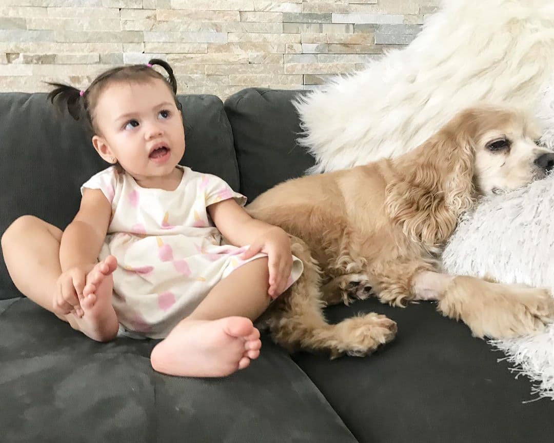 La pequeña Chloé ha crecido muy de cerca con los caninos y ya han formado una bonita amistad. Mira lo relajadas que lucen en la sala familiar.