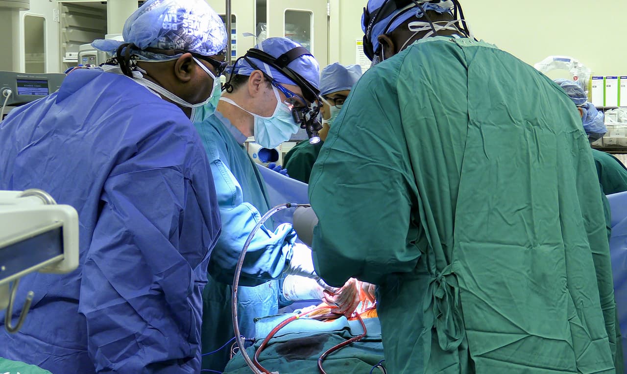 El corazón artificial es una prótesis que incluye válvulas biológicas derivadas de tejido bovino.