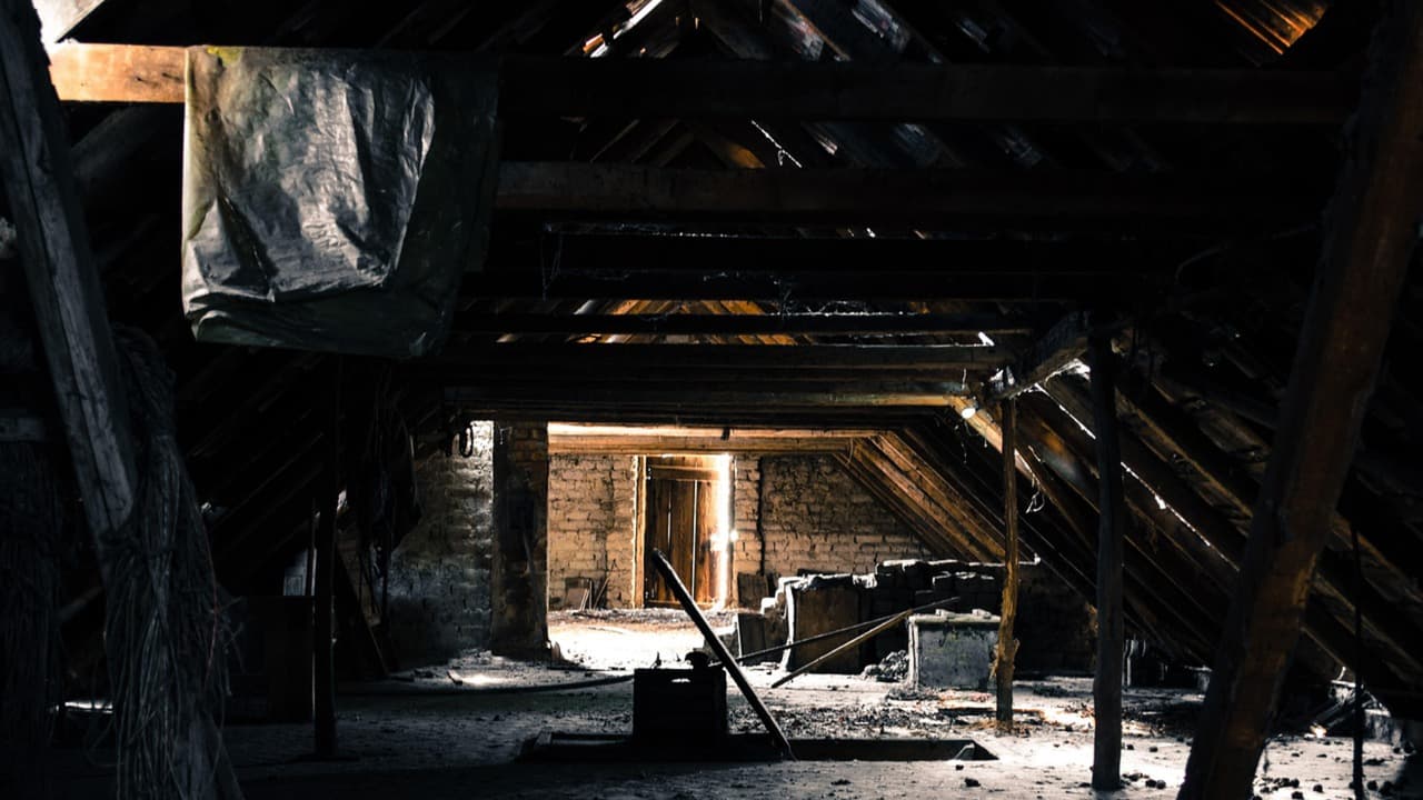 Casero nota olor fétido, revisa ático de casa y encuentra los cuerpos de tres bebés