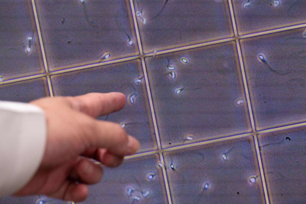 Denuncian que un donante de semen tiene 500 hijos