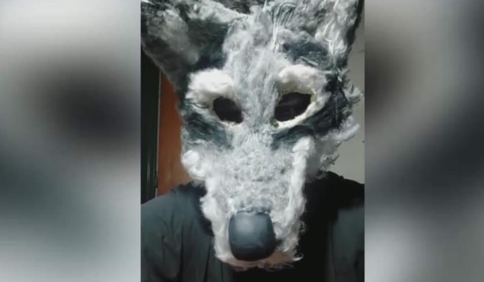 ¿Qué son los Therians? Especialista explica si se trata de una enfermedad mental